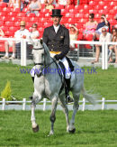 Mark Todd & NZB LAND VISION